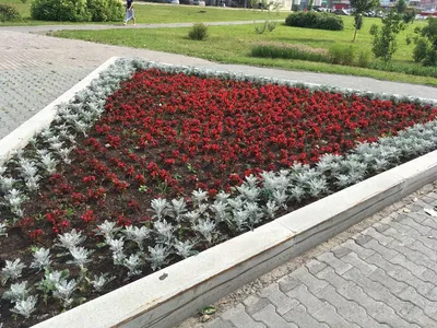 Заказать оформление клумб для цветов в Екатеринбурге | Зеленый остров