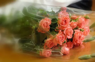 Обои Красивый цветок, для девушки, Для души картинки на рабочий стол,  раздел цветы - скачать