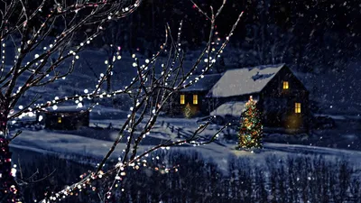 Красивые украшенные деревья на Рождество в деревне зимой - обои для  рабочего стола, картинки, фото