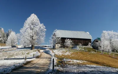 Зима в деревне - фото и картинки: 59 штук