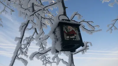 Один красивый зимний день в деревне