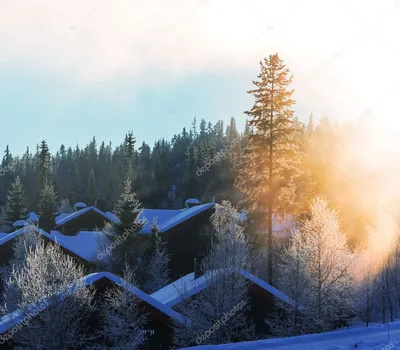 ⬇ Скачать картинки Зима в деревне, стоковые фото Зима в деревне в хорошем  качестве | Depositphotos