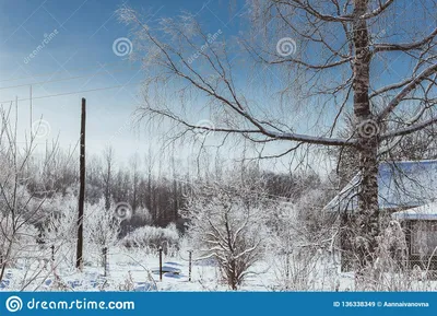 Картинки Зима