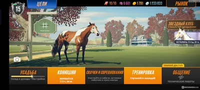 Компьютерная программа Rival Stars Horse Racing - «🍀 Как вывести хорошую  лошадь в Rival Stars? Затягивающая игра с реалистичными конями.» | отзывы
