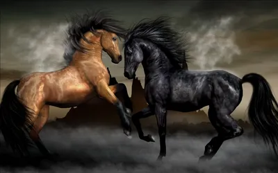Породы лошадей: истории из жизни, советы, новости, юмор и картинки — Лучшее  | Пикабу