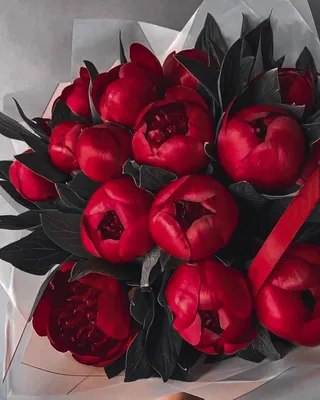 Pin by Free on картинки на аву | Luxury flowers, Android wallpaper flowers,  Beautiful flowers