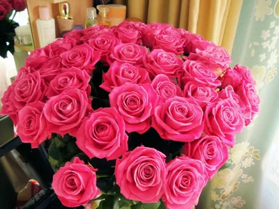 Красивые цветы розы - 64 фото