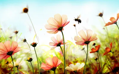 Красивые экзотические цветы и спа-композиции на столе, закрыть :: Стоковая  фотография :: Pixel-Shot Studio