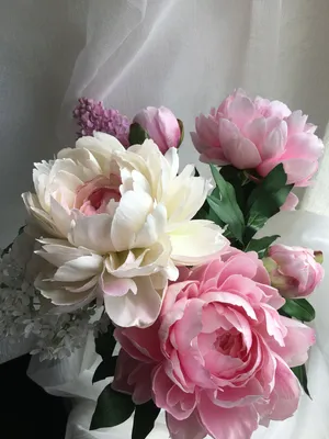 Пин от пользователя Ilona Sieradzki на доске Fantasticus | Цветы,  Фотография цветов, Красные розы