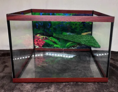 Аквариум для черепахи -Террариумы купить в интернет-магазине | Интернет  магазин ГиперЗоо