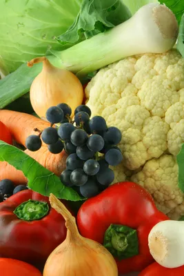 Крестоцветные овощи (54 лучших фото)