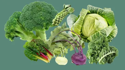 крестоцветные овощи, Весенняя зелень, вегетарианская кухня