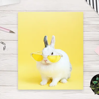 Крутой кролик зайчика пасхи в мультфильме солнечных очков Иллюстрация  вектора - иллюстрации насчитывающей иллюстрация, ухо: 134575435