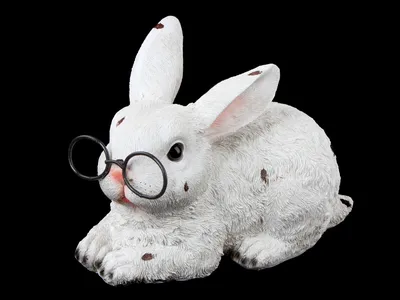 Модный кролик | Пикабу