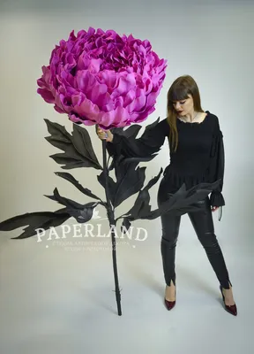 Искусственные цветы пионы крупные Пижон 45см за 475 ₽ купить в  интернет-магазине KazanExpress