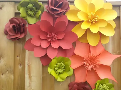 Flower-эффект: как заработать на больших цветах — Навигатор Киров