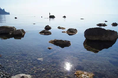 Файл:Черное море, камни в море, Крым, Crimea.jpg — Википедия