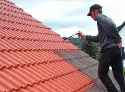 Покраска крыши дома - цена за квадратный метр 50 руб