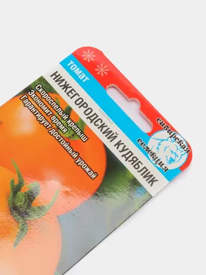 Томат Нижегородский кудяблик (семена) за 59 ₽ купить в интернет-магазине  KazanExpress