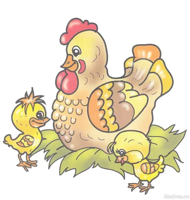 Картинки для детей. Курица с цыплятами