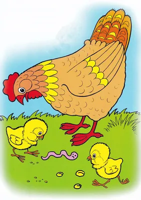 Раскраска Курица кормит цыплят - распечатать бесплатно