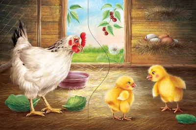 Иллюстрация Курица, цыплята. Карточка для детской игры \u0026quot;Где