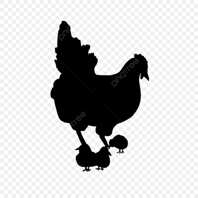 Курица силуэт курица с цыплятами PNG , курица, женский, цыпленок PNG  картинки и пнг PSD рисунок для бесплатной загрузки