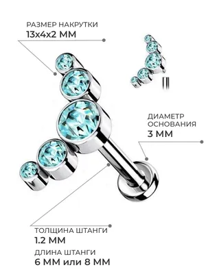 Серьга лабрет титан пирсинг ухо хрящ хеликс трагус губы PINME titanium  15747985 купить за 720 ₽ в интернет-магазине Wildberries