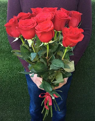 11 роз (70 см) - заказ и доставка в Челябинске
