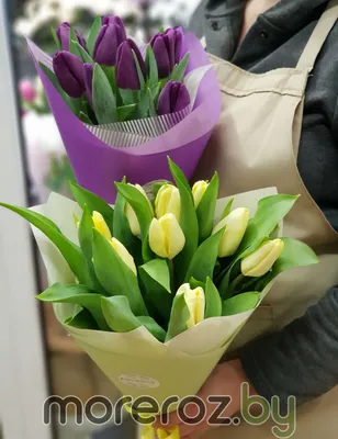 Купить букет из 11 тюльпанов в Москве с доставкой недорого