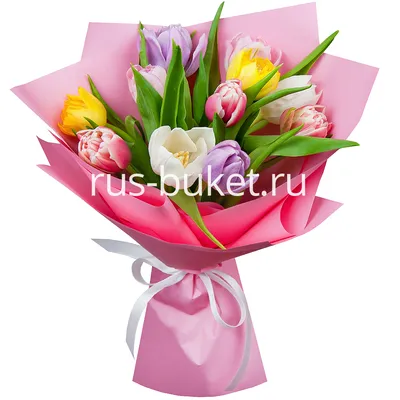 11 Тюльпанов Микс — купить в интернет-магазине по низкой цене на Яндекс  Маркете