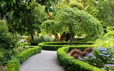 Ландшафтный дизайн и Озеленение участка | ДИВО ГАЙ садовий центр