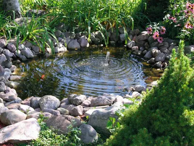 Искусственный водоем в саду