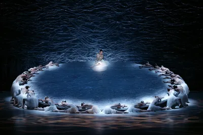 Лебединое озеро: история балета