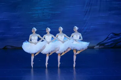 Балет «Лебединое озеро» в концертном зале «Москонцерт Холл» – события на  сайте «
