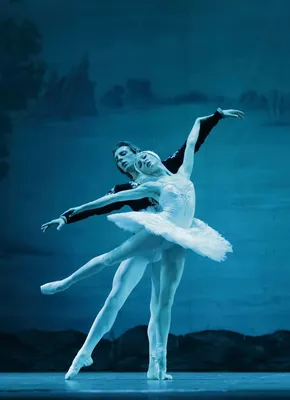 Лебединое озеро» открывает сезон театра «Русский балет» - АртМосковия