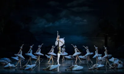 Лебединое озеро – Самарский театр оперы и балета