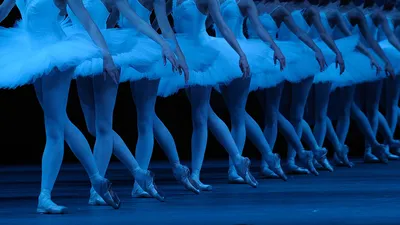 Королевский оперный театр в Лондоне возобновит показ балета «Лебединое озеро»  - ТРК Звезда Новости, 26.03.2022
