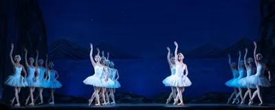 Купить билет на балет Лебединое Озеро в Нижнем Новгороде на сайте operann.ru