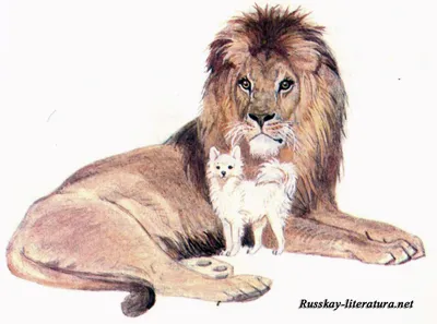 Лев и собачка Толстой быль с иллюстрациями