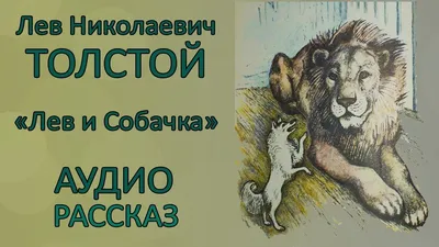 Лев Толстой. Лев и Собачка. Аудиорассказ #левтолстойлевисобачка | Лев  толстой, Собачки, Лев