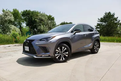 Обзор Lexus NX 300 2019 года | AutoTrader.ru