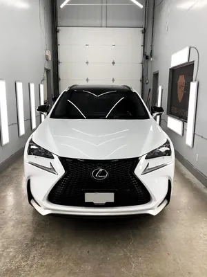 Акценты на виниловой пленке на заказ — Lexus NX300 — Aegis Paint Shield