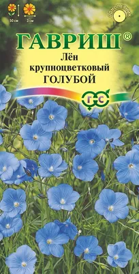 Цветы Лен красный крупноцветковый 0,3 г : Полтавское - семена купить в  Киеве, Украине фото, отзывы, описание - Дачник