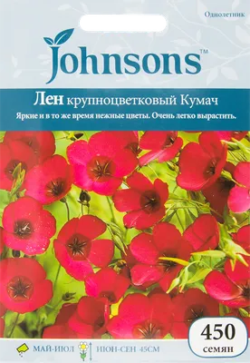 Цветы льна из шелка \"Небо на ладони\". Голубой лён - цветы цвета неба –  заказать на Ярмарке Мастеров – I6SXRRU | Цветы, Санкт-Петербург