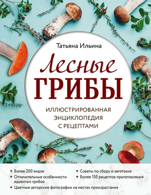 Смесь грибная ЛЕНТА из лесных грибов резаная – купить онлайн, каталог  товаров с ценами интернет-магазина Лента | Москва, Санкт-Петербург, Россия