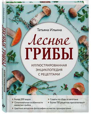 Топ-10 грибов: Короли леса » BigPicture.ru