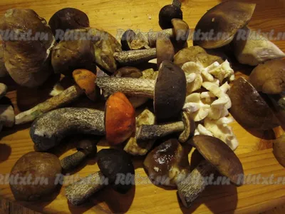 Грибы сушеные Лесные угодья 40г белые грибы крупные купить за 623 руб. с  доставкой на дом в интернет-магазине «Palladi» в Южно-Сахалинске