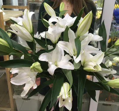 Букеты из лилий в Челябинске, заказать и купить с доставкой недорого цветы  белые лилии