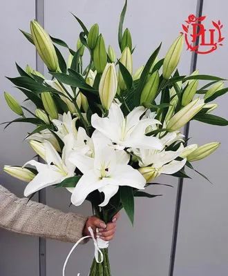 Букет из 5 лилий - Радуга Цветов (Красфлора) Доставка цветов в Шарыпово